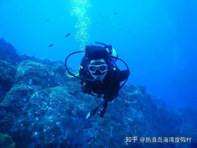 偶像经纪人