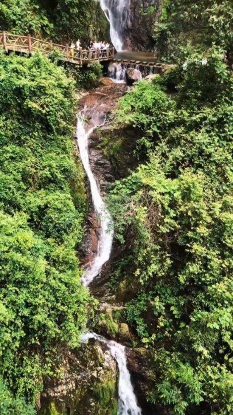 阿根廷大豆遭遇干旱之困 今年如何破局