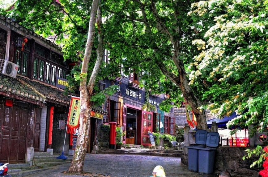 春雨直播app