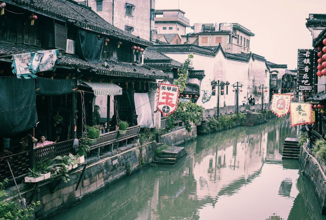 动物拼一拼