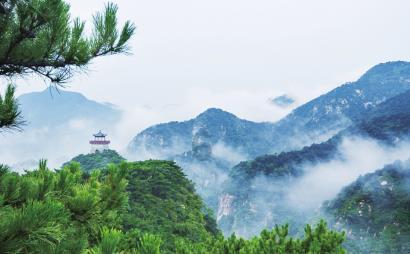 探索驰业科技为什么一直在招人?红迪网平台,分享交流乐趣无限